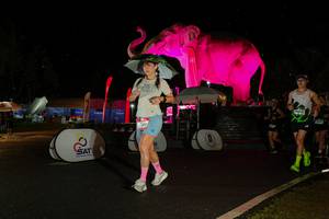 BIB: 
                            <button type="button" onclick="openModal(26542793)" class="btn btn-primary btn-sm float-right btn-popup" data-toggle="modal" data-target=".modal-high-quality">
                        <i class="fas fa-shopping-cart"></i> Add to Cart
                    </button>
                                            <button type="button" onclick="isThisMe(26542793, true)" class="btn btn-success btn-sm float-right btn-popup btn-isme hidden" data-toggle="tooltip" data-placement="bottom" title="นี่คือรูปของคุณใช่ไหม คลิกที่นี่เพื่อเอาเข้าอัลบั้ม">
                        <i class="fas fa-plus"></i> Add to album
                    </button>
                    <button type="button" onclick="isThisMe(26542793, false)" class="btn btn-warning btn-sm float-right btn-popup btn-isnotme hidden">
                        <i class="fas fa-ban"></i> Remove from album
                    </button>